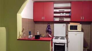 Апартаменты Jovana apartmani Подгорица Апартаменты с 1 спальней-8