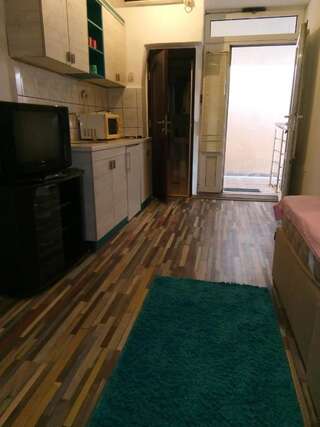 Апартаменты Jovana apartmani Подгорица Номер-студио с террасой-8